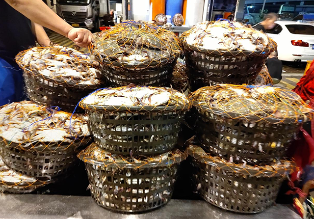 1737012421701702.png 4.png